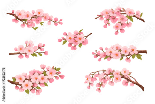 Six separate cherry blossom branches featuring pink flowers, buds, and green leaves on a black background. This digital illustration captures the delicate beauty of spring sakura.