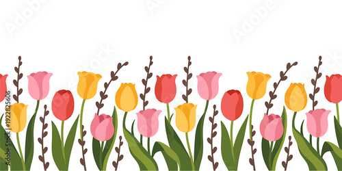 Colorful tulips and willow branches on white background  spring flowers