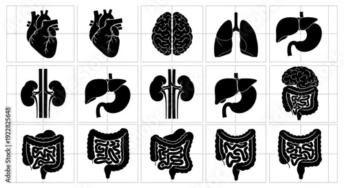 Human organ icons set black and white medical symbols for health and anatomy illustrations