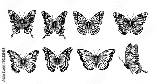 A collection of intricately detailed black and white butterfly illustrations