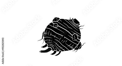 Detailed black and white illustration of a scorpion's rear showcasing its segmented tail textured exoskeleton and curved claws on a plain background