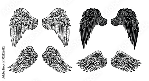 Four pairs of sketched wings in varying styles and shades