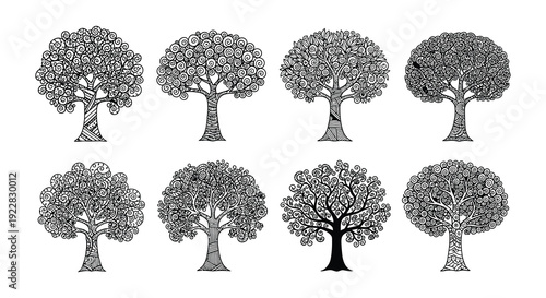 Detailed illustrations of six diverse trees in a black and white style