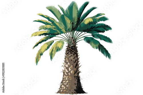 Emergency response vehicle vector set with police car, helicopter, and motorcycle icons for public safety.