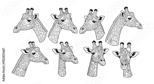 A collection of intricately patterned giraffe heads in black and white