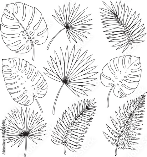 Collection of various tropical leaves illustrated in black and white on transparent background