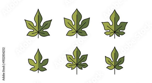 Papaya leaf Line art abstract smooth color vector