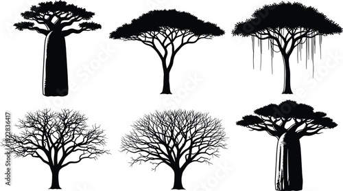 Black African tree silhouette set with baobab and acacia savanna plant icons isolated on white background for safari and nature design