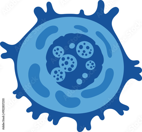 Detailed Abstract Cellular Structure with Internal Organelles and Vesicles