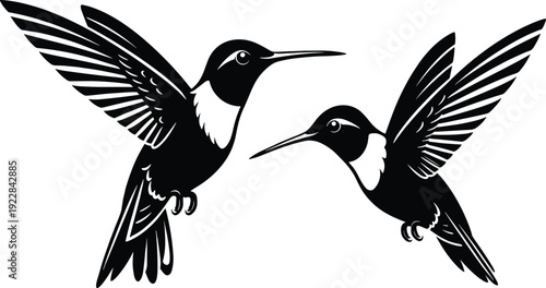 Black and white hummingbirds illustration, symmetrical composition, stylized birds in flight, detailed feather patterns, long beaks, artistic vector wildlife design, nature artwork