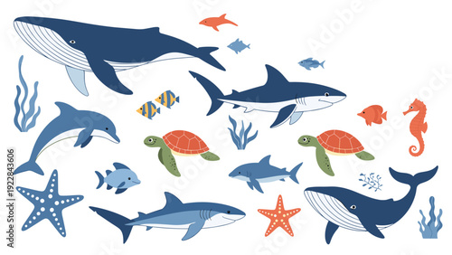 Colorful set of diverse sea creatures including whales, sharks, dolphins, turtles, and fish swimming on a white background.