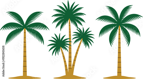 Stylized palm trees illustration, tropical nature design, beach theme artwork, green fronds, brown trunks, vector composition, summer environment, exotic landscape