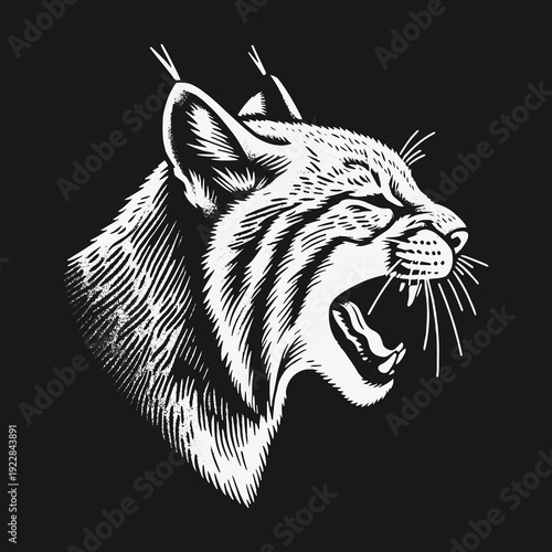 Intense Lynx Portrait: A Striking Wildlife Illustration in Black and White.