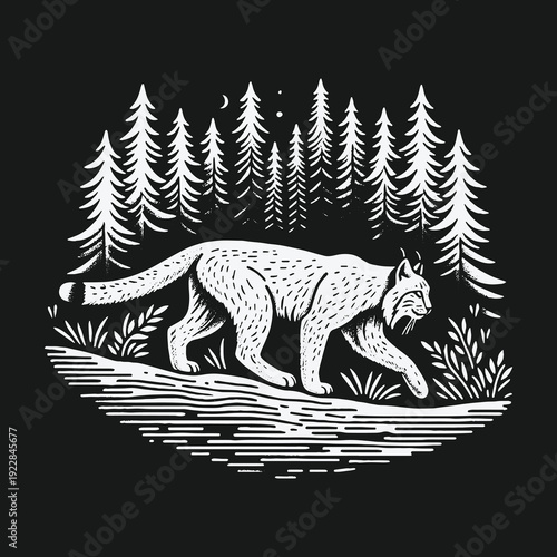 Lynx in the Forest: A Wildlife Illustration in Black and White.