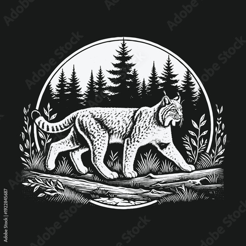 Monochrome Bobcat Illustration in Natural Forest Habitat.