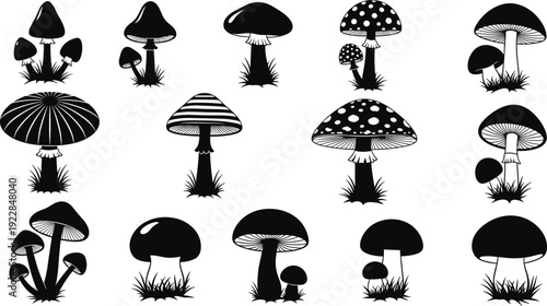 Vector Illustration Set of Mushroom Silhouettes with Different Fungi Species and Toadstools for Nature Wildlife Forest Garden and Minimalist Food Graphic Designs