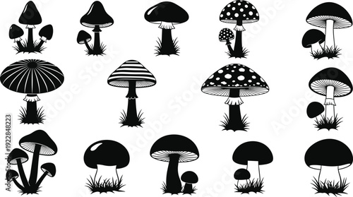 Vector Illustration Set of Mushroom Silhouettes with Different Fungi Species and Toadstools for Nature Wildlife Forest Garden and Minimalist Food Graphic Designs