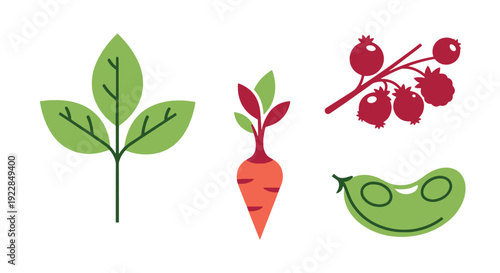 Plant Based Line art clean vibrant tone illustration