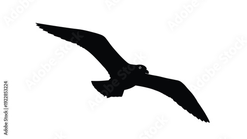 Silhouette of a seagull with outstretched wings flies across a clear sky in a simple black and white graphic representing freedom.