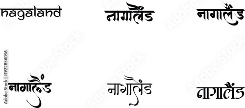 Hindi Typography Nagaland means Nagaland calligraphy fonts Hindi text language
