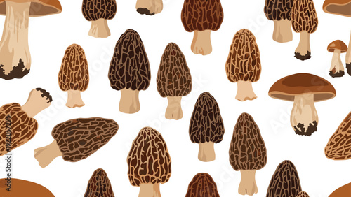 Seamless pattern of various edible mushrooms including morels and porcini mushrooms on a clean white background texture.
