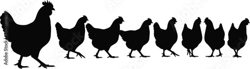 Row of nine chicken silhouettes in progressive sizes facing right, ideal for agriculture design, farming graphics, educational materials, and creative commercial projects
