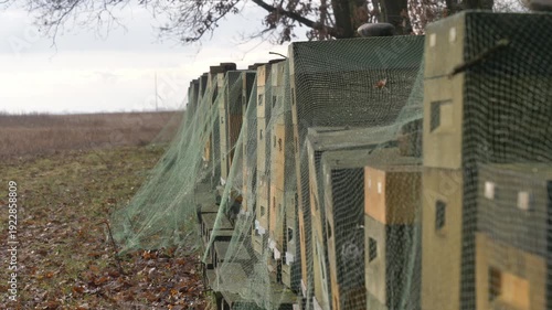 Wallpaper Mural Overcast winter scene showing styrofoam beehives protected with bird netting, with wild rose hips prominently visible in the foreground Torontodigital.ca