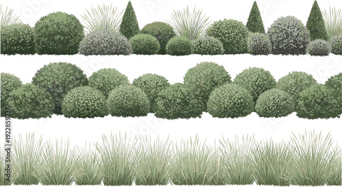 Stylized rows of shrubs, bushes, and ornamental grasses in landscape design arrangement, ideal for gardening visuals, architectural renderings, and outdoor decorative projects