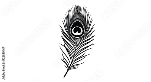 Elegant peacock feather displayed against a clean white background