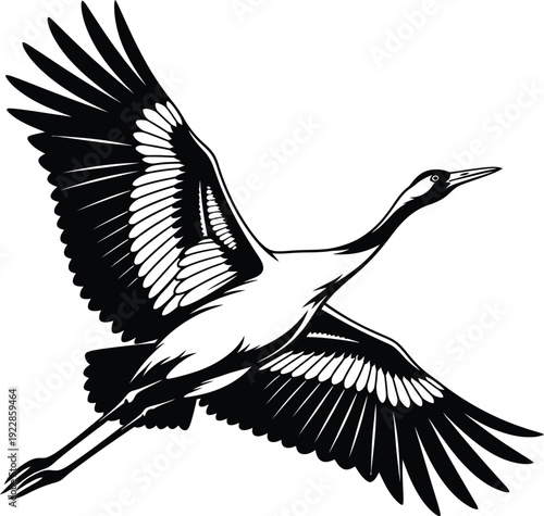 Crane Bird Flying Wings Spread Isolated Black White Vector Illustration