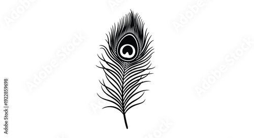 A detailed black and white illustration of a single peacock feather