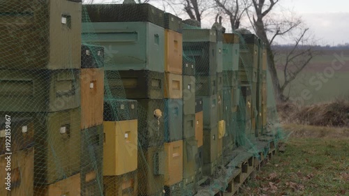 Wallpaper Mural Overcast winter scene showing styrofoam beehives protected with bird netting, with wild rose hips prominently visible in the foreground Torontodigital.ca