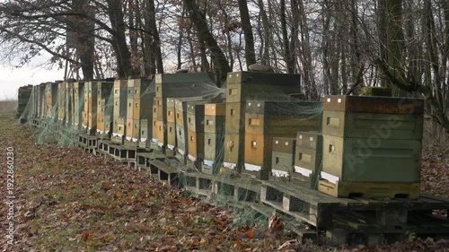 Wallpaper Mural Overcast winter scene showing styrofoam beehives protected with bird netting, with wild rose hips prominently visible in the foreground Torontodigital.ca
