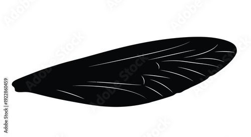 Simple black silhouette of a mussel shell with linear details inside