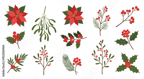 Collection of festive winter plants including poinsettias, mistletoe, holly, and red berries for traditional holiday decorations.