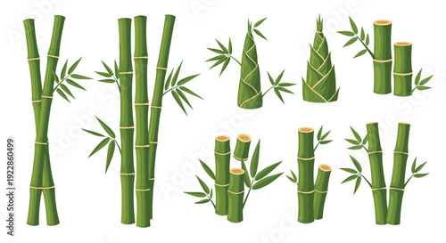 Variety of green bamboo arrangements including stalks, leaves, and young shoots for tranquil oriental and nature inspired designs.