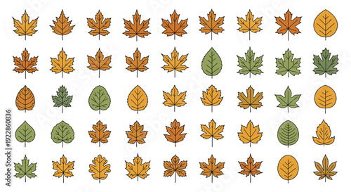 Extensive collection of autumn leaves in various shapes, sizes, and fall colors including orange, yellow, and green in a grid.
