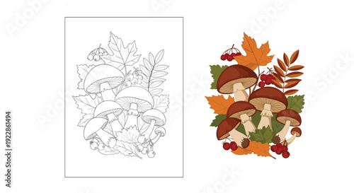 Educational illustration showing a cluster of mushrooms and autumn leaves in both a black and white outline and full color version.