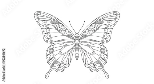 Intricate butterfly line art drawing featuring complex patterns and dotted details isolated on white for decorative or coloring purposes.