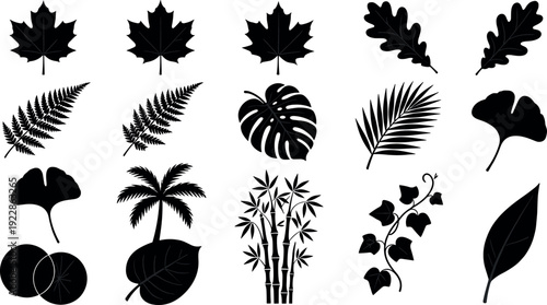 Black silhouette leaf collection featuring maple oak fern monstera ginkgo and palm tropical foliage elements isolated on white background for nature graphic design