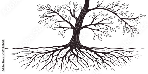 A detailed illustration of a tree with extensive root system below ground