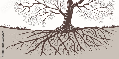 An illustration of a tree with extensive root system beneath the ground