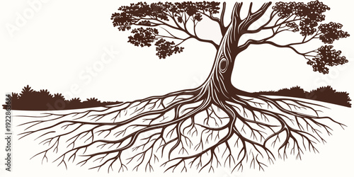 Illustration of a tree with an extensive root system in soil