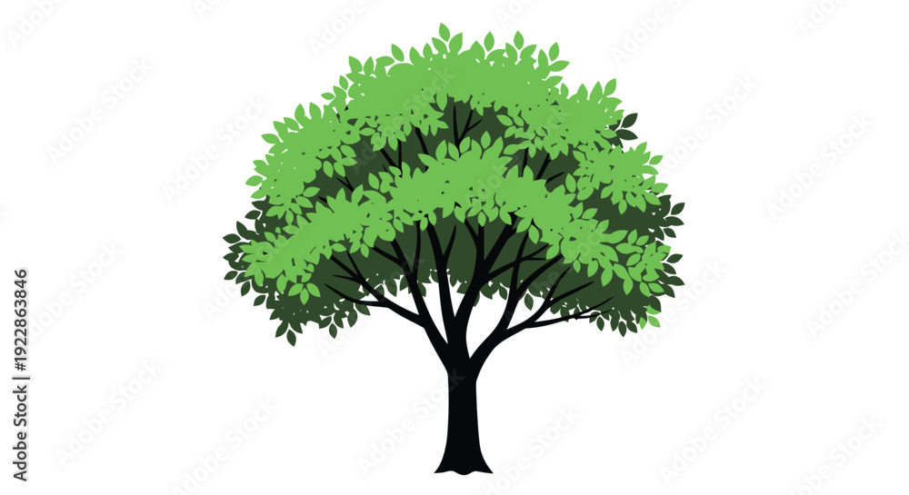 Fototapeta premium Stylized green tree illustration on a white background