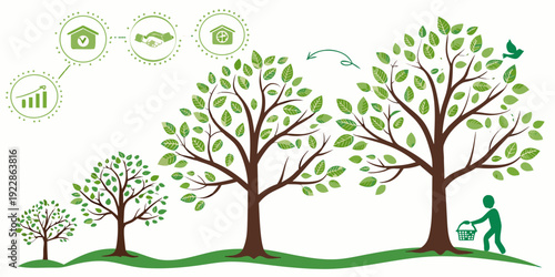 The journey of tree growth and environmental sustainability over time
