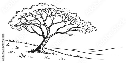 A solitary tree standing on a gentle hillside in a minimalist sketch.