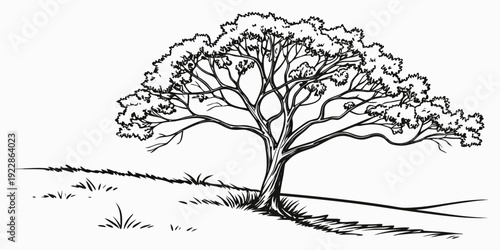 A lone tree standing gracefully on a quiet, open landscape under a clear sky