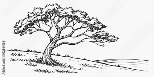 A lone tree standing gracefully beside a quiet, open field under a clear sky