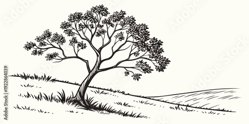 A solitary tree standing beside a winding country path in a serene landscape.