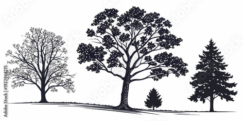 Silhouettes of three tall trees against a plain background in monochrome